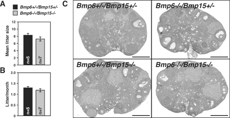 FIG. 6.