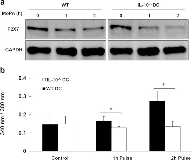 FIG 4