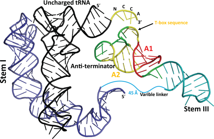 Figure 5.