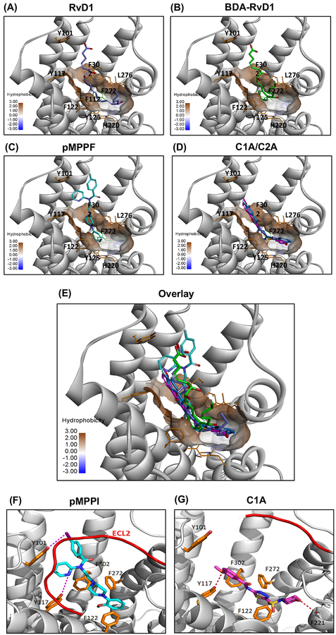 Figure 6.