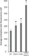 FIGURE 4