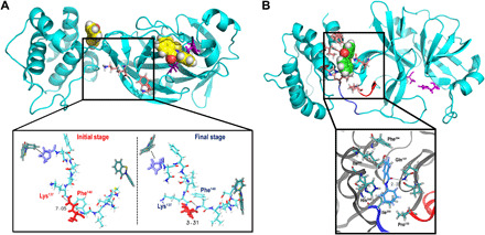 Fig. 4