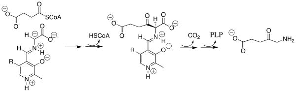 Scheme 4