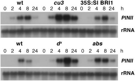 Figure 5.