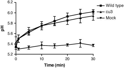 Figure 6.