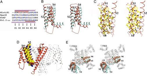 Fig. 4.