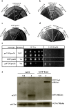 Fig. 3