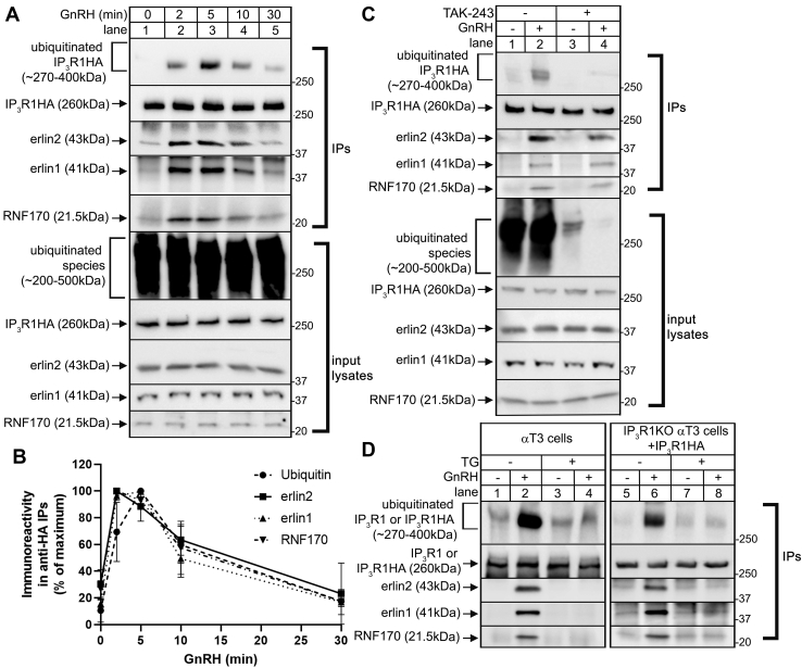 Figure 2