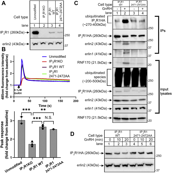 Figure 6