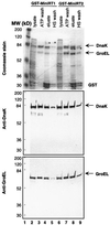 FIG. 5