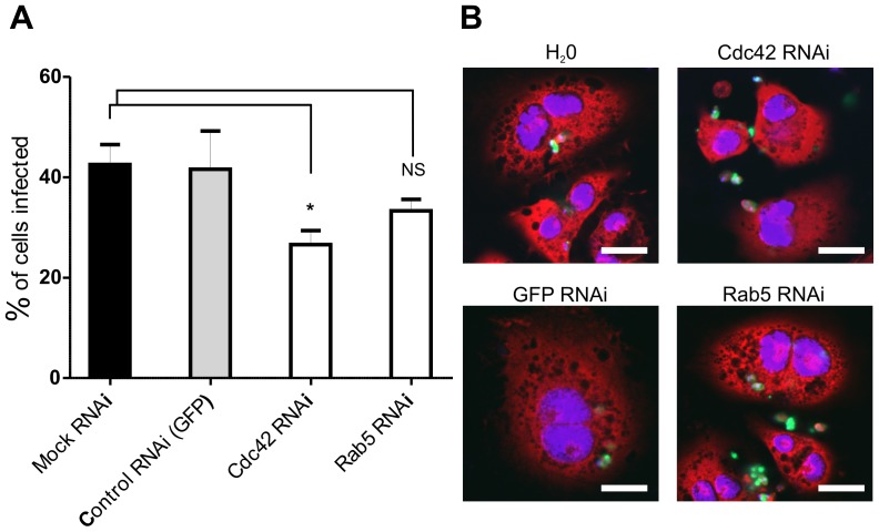 Figure 5