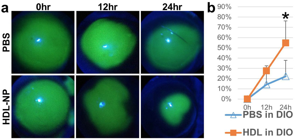 Figure 2: