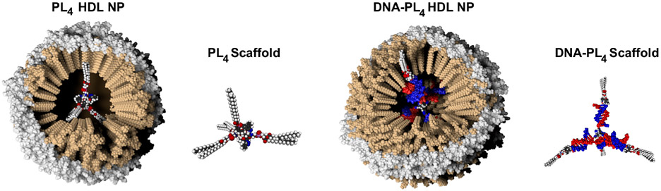 Figure 5: