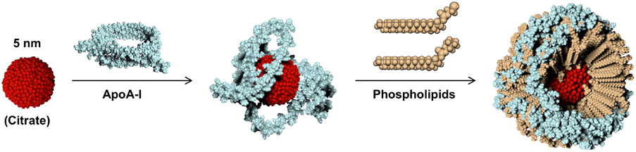 Figure 1: