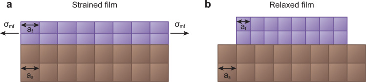 Fig. 10