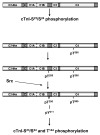 Fig 7