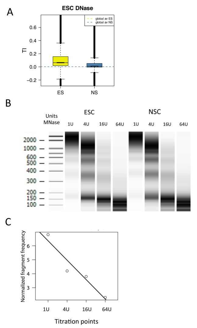 Figure 7—figure supplement 1.