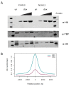 Figure 5—figure supplement 2.