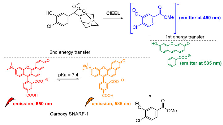 Figure 15