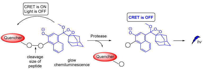 Figure 20