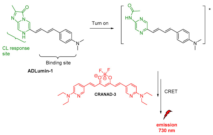 Figure 12