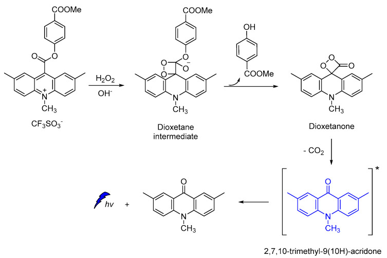 Scheme 13