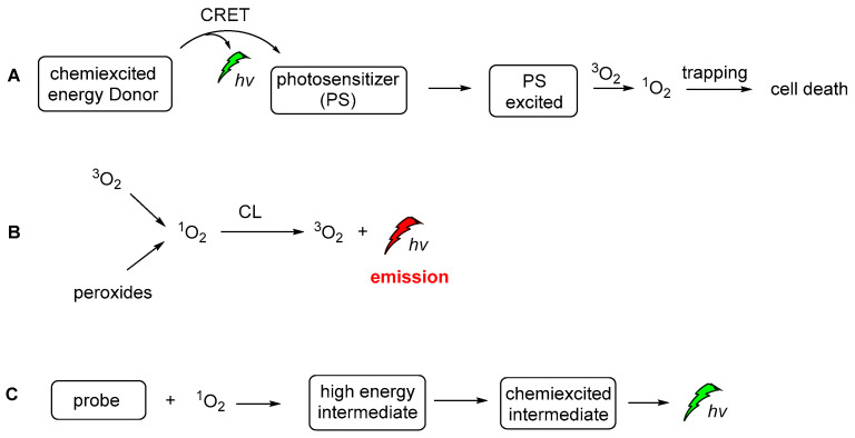 Figure 21