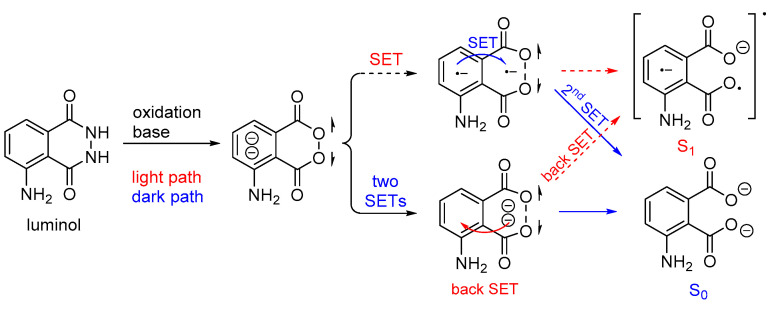 Scheme 4