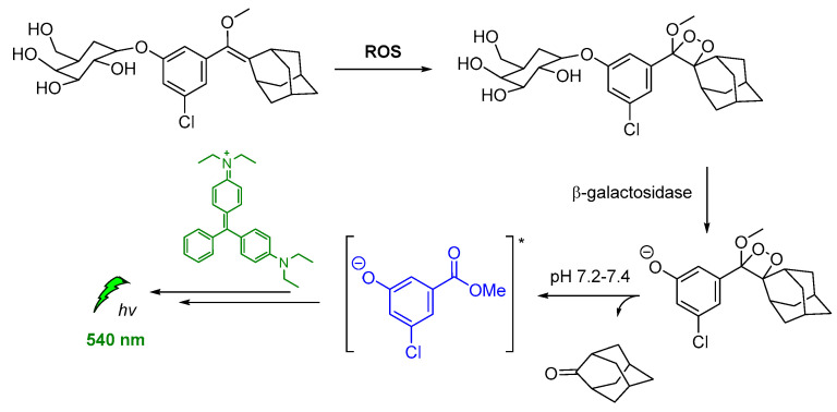 Figure 13