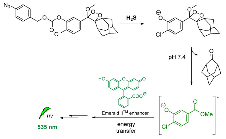 Figure 14