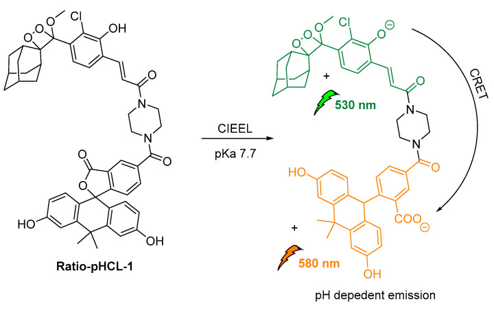 Figure 19