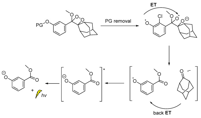 Scheme 9