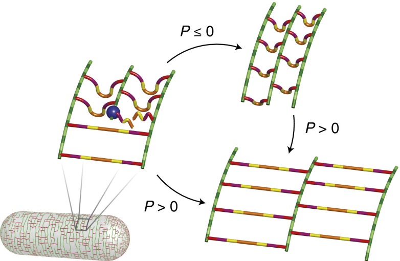 Fig. 4.