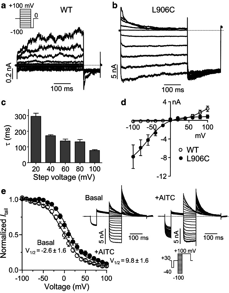 Fig. 4