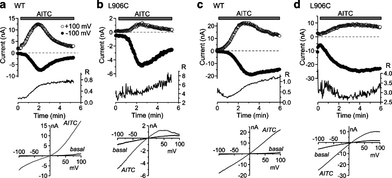 Fig. 2