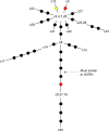 Fig 2
