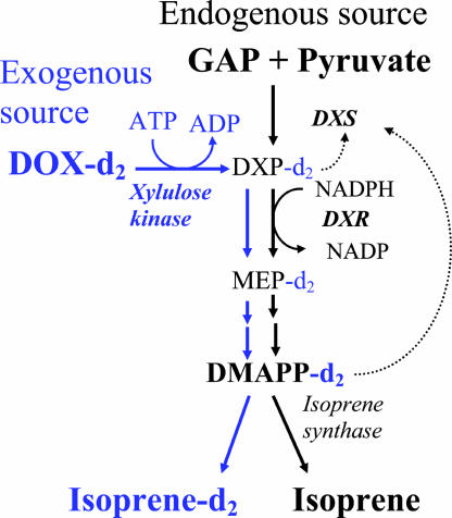 Figure 6.