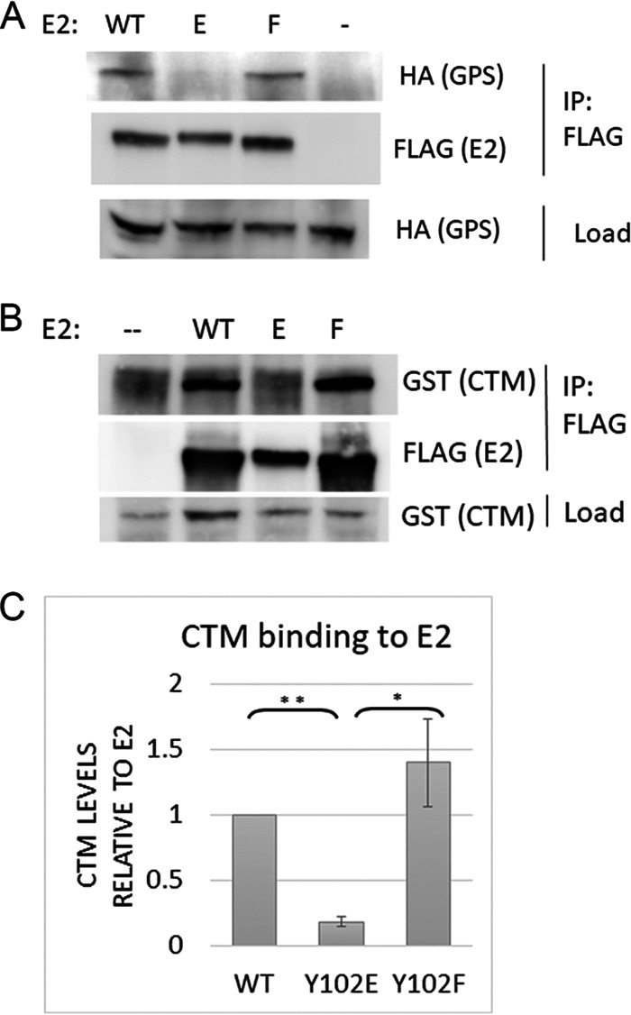 FIG 3