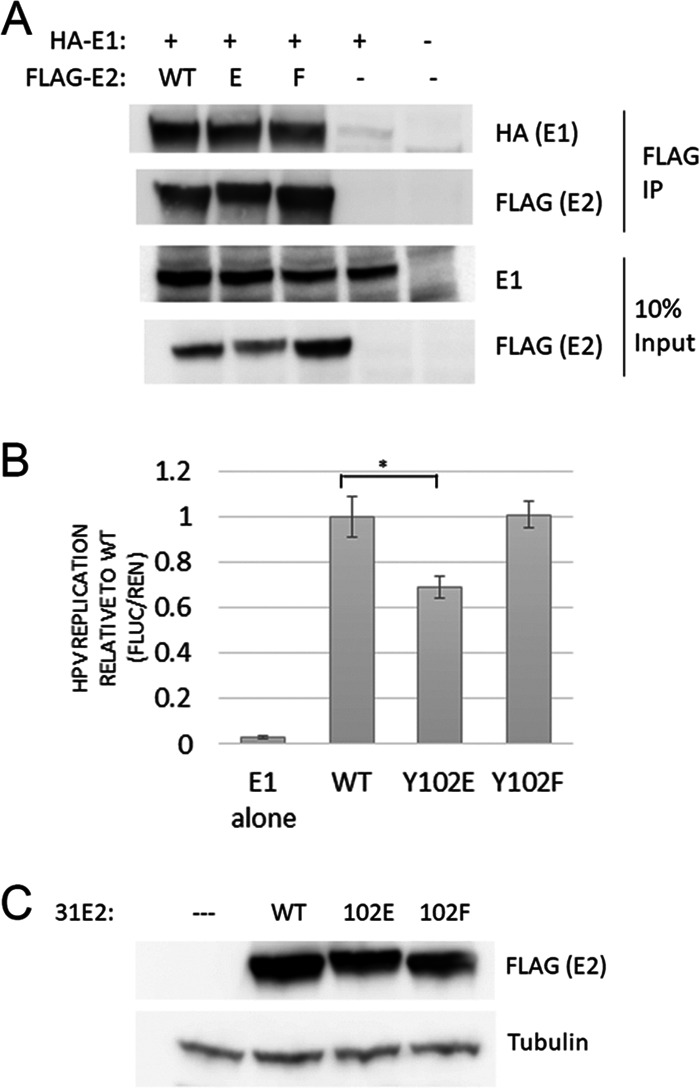 FIG 4