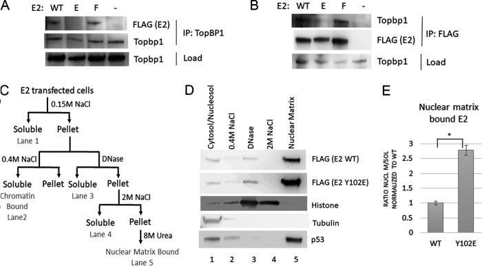 FIG 2