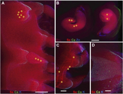 Figure 2.