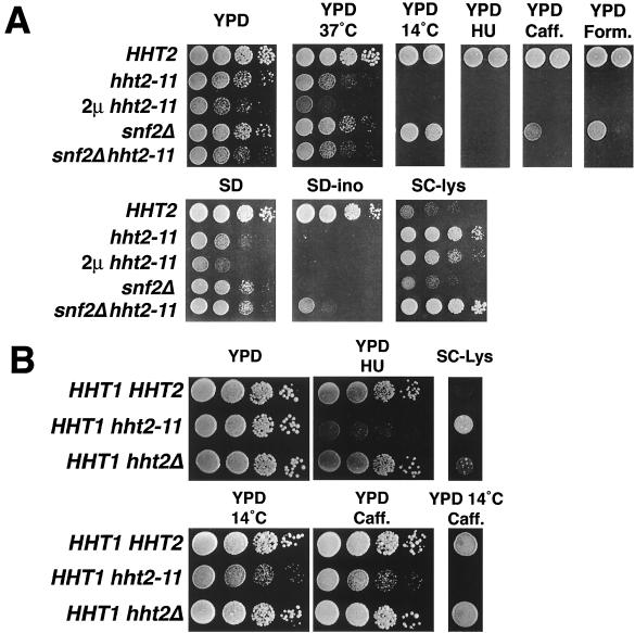 FIG. 2.