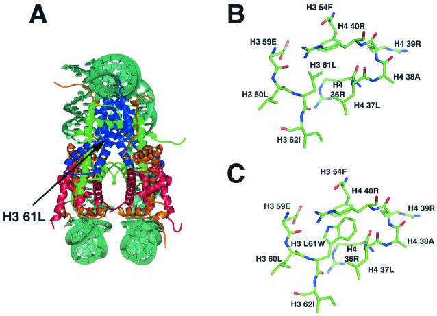 FIG. 1.