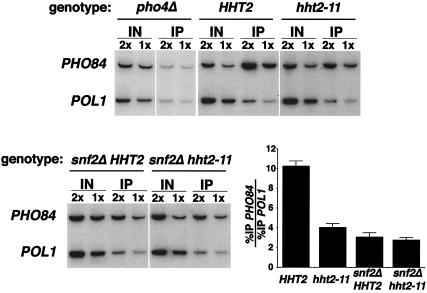 FIG. 7.