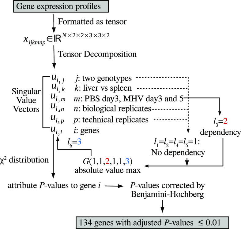 Fig. 1.