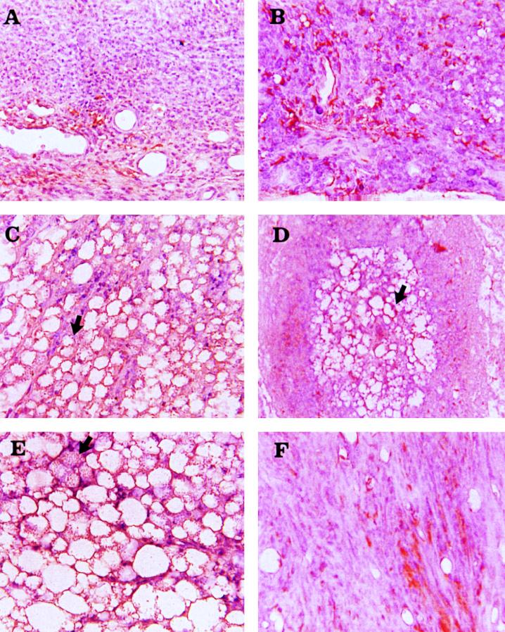 FIG. 7