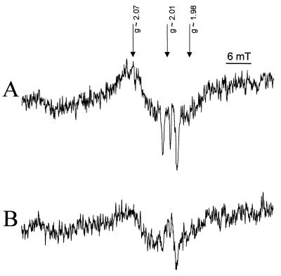 FIG. 5