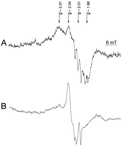 FIG. 6