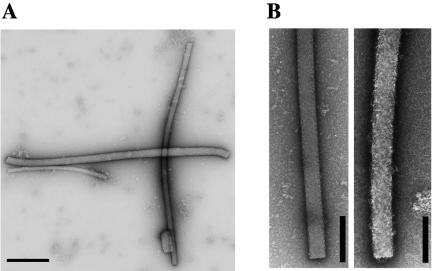 FIG. 7.