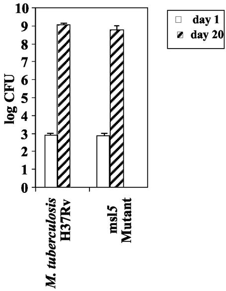 FIG. 3.